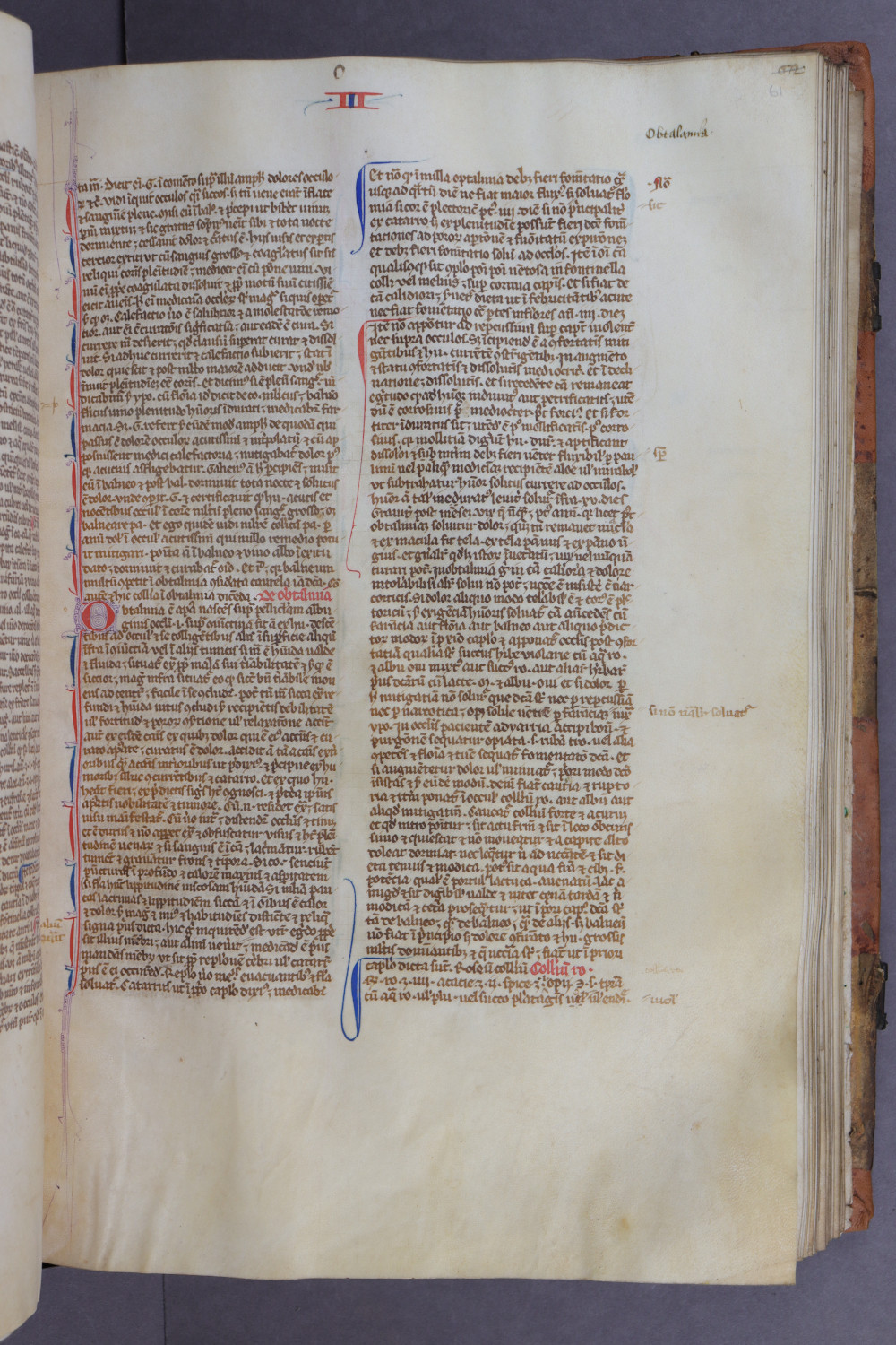 Folio 61 recto